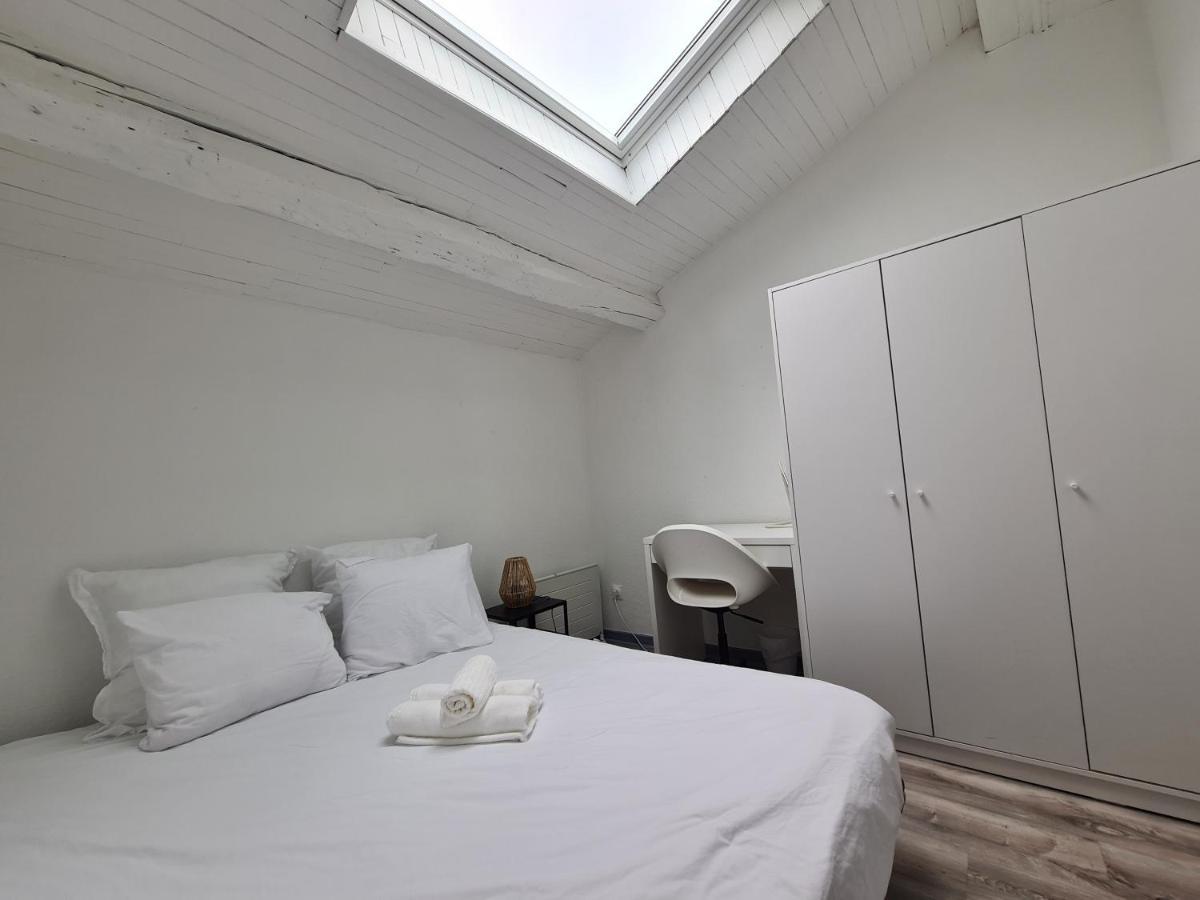 Les Cosy De Nancy - Le Duplex Aux Flammants Roses - 4Etoiles Exterior foto