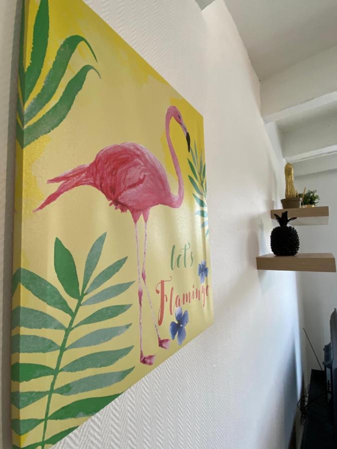 Les Cosy De Nancy - Le Duplex Aux Flammants Roses - 4Etoiles Exterior foto